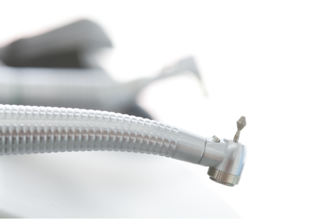 消毒をしながら経過をチェックし、傷口が塞がるのを待ちます。